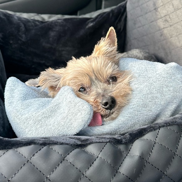 🌺 About Me 🌺 - Picture 2 of 5